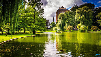 Boston, Travelling, Massachusetts, USA HD wallpaper