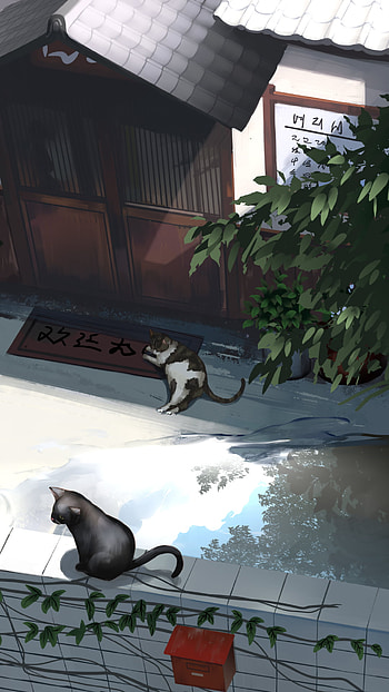 An afternoon with the cats, Anime, girl, anime girl HD phone wallpaper
