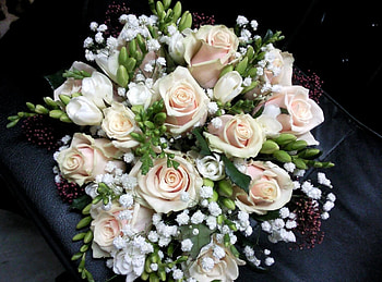 Flowers, Roses, Typography, Registration, Bouquet, Gypsophilus, Gipsophile, sia HD wallpaper
