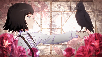 Sing Yesterday for Me Crow HD wallpaper