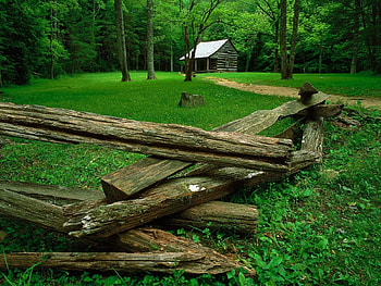 Nature, Houses, Trees, Grass, Forest, Glade, Polyana, Dry Logs HD wallpaper