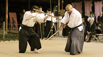 Aikido journey, Lees life insight, Harmonious practice, Enlightening experience HD wallpaper