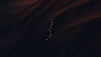 Flying Birds Minimal , birds, minimalism, minimalist, artist, artwork, digital-art, dark HD wallpaper