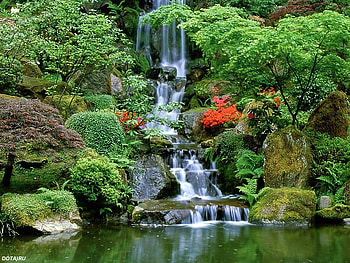 BEAUTIFUL PARK, waterfall, nature, lake, park HD wallpaper