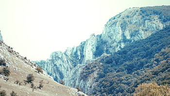 Nature, Trees, Mountains, Vertex, Top, Spine, Ridge HD wallpaper