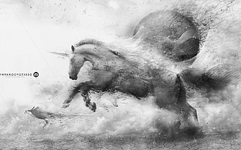 Horse Ride, animals, horse HD wallpaper