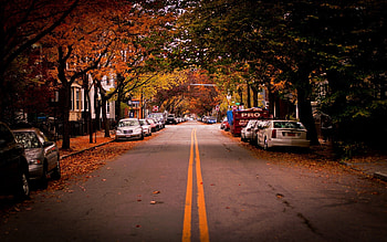 Cities, Auto, Trees, Usa, Road, Cambridge HD wallpaper