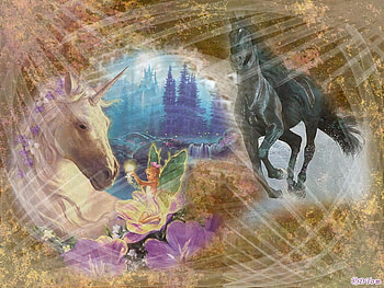 Black and White, other, horses, fantasy, animals HD wallpaper