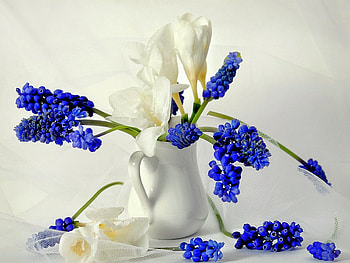 Blue, vase, nature, flowers HD wallpaper
