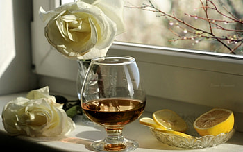 rose, flowers, abstract, graphy HD wallpaper