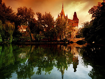 color nature, color, trees, sky, castle, lake HD wallpaper