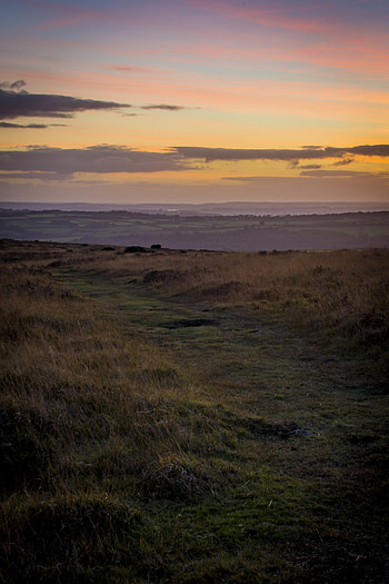 Nature, Grass, Twilight, Horizon, Path, Dusk HD phone wallpaper