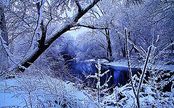 Winter Stream, trees, river, water, ice, snow HD wallpaper
