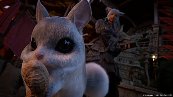 Cute Final Fantasy XIV: Dawntrail Character, cute, video game, Final Fantasy XIV: Dawntrail HD wallpaper