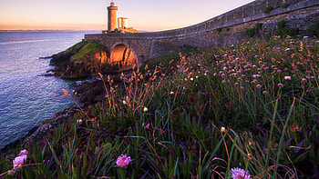 Landscape View Of Lighthouse Ocean Coast And Closeup View Of Pink Yellow Flowers Grass Bushes Stones Nature HD wallpaper