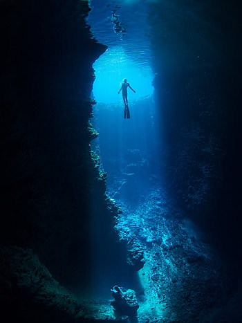 diving, Sports, Diver , Underwater Beauty HD phone wallpaper