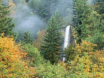 Nature, Trees, Autumn, Waterfall, Greens HD wallpaper