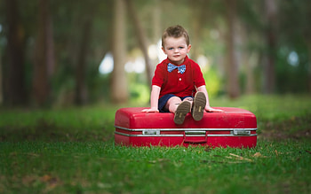 Little boy, suitcase, boy, green, red, child, copil HD wallpaper