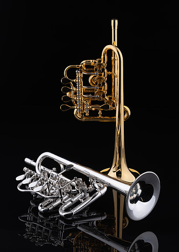 Piccolo model, Berlin Schagerl, Meisterinstrumente HD phone wallpaper