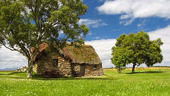Quiet Countryside, blue sky, quiet, clouds, trees, beautiful, cottage, grass, countryside HD wallpaper