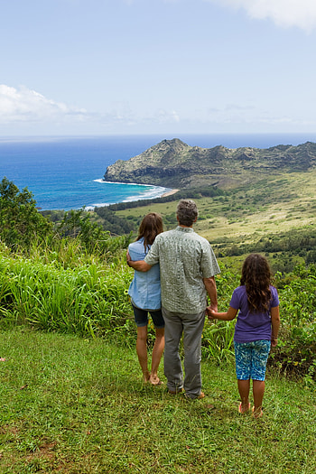 The Descendants, Movies, Kauai, Tour HD phone wallpaper