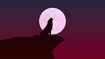 Howling, wolf, silhouette, minimalist art HD wallpaper