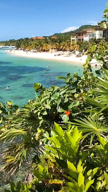 Vibrant colors of Honduras, Roatan travel guide, Stunning landscapes, Tropical paradise HD phone wallpaper