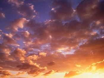 Brand New Day, day, clouds, sky, nature, sun HD wallpaper