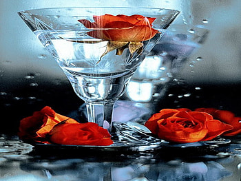 glass of beauty, drops, glass, roses, red HD wallpaper