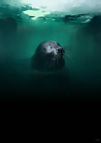 Water, Art, Animal, Nice, Sweetheart, Fur Seal HD phone wallpaper