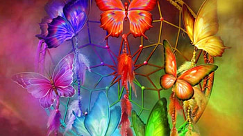 Rainbow Butterflies, butterflies, catcher, rainbow, dream HD wallpaper