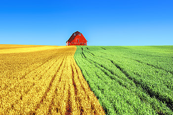 Farms, house, sky, landscape HD wallpaper