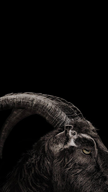 The Witch (2022) movie HD phone wallpaper