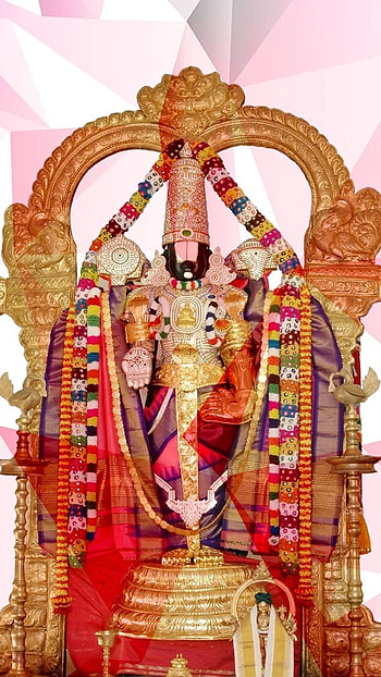 Balaji , God Balaji, Pink Background HD phone wallpaper