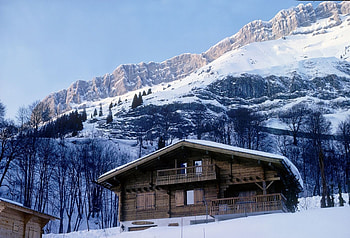 Cottage un Mountains, landscape, trees, snow, house HD wallpaper