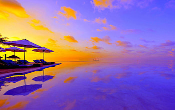summer , High-quality , Vibrant and fun, Nature's summer wonders HD wallpaper