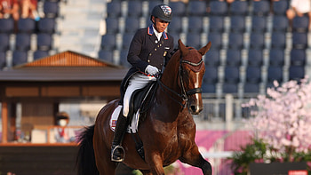 Rave Horse Mopsie, Olympic Dressage style, Energetic performance HD wallpaper