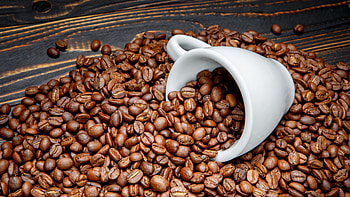 Coffee Beans, Coffee , Backgrounds, Food HD wallpaper