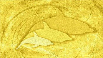Cohesion among Dolphins, golden, sparkling, yellow, glitter, dolphins, wave HD wallpaper