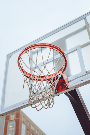 Sports, Basketball, Shield, Grid, Ring, Basketball Hoop, Basketball Ring, Scute HD phone wallpaper