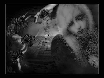 black roses, roses, fantasy, woman HD wallpaper