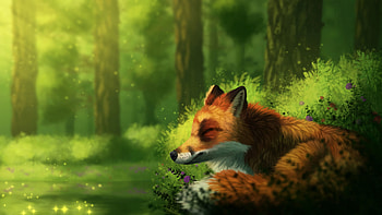 Art, Fox, Wildlife, Animal, Sleep, Dream HD wallpaper