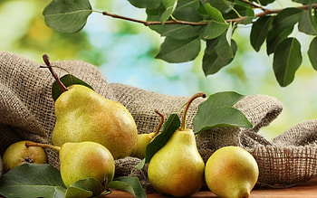 Pear , High-definition, Background , Fruity HD wallpaper