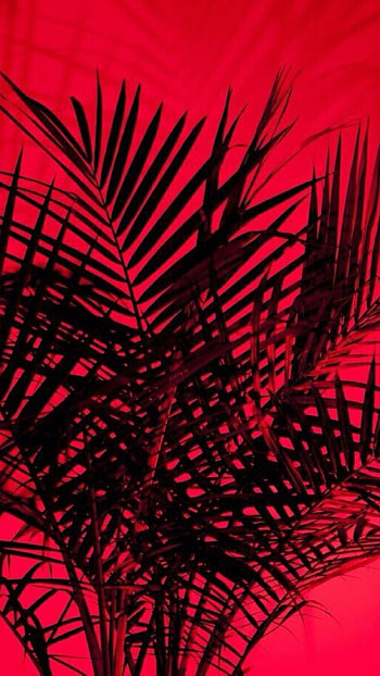 Red Aesthetic, Red Tree HD phone wallpaper
