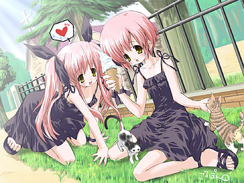 Kitty, animal, morinaga, sexy, house, twins, cute, kawai, cat, grass, kousaka, korune, anime, alice, suigetsu, girls, maria HD wallpaper