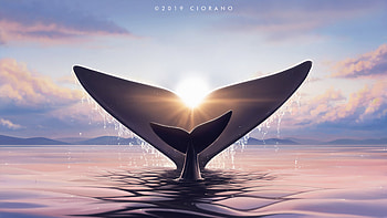Ocean Family, fish, artist, artwork, digital-art, deviantart HD wallpaper