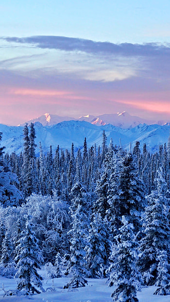 Alaska travels, Earth winter, Winter wonderland, Weather phenomenon HD phone wallpaper