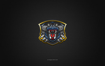Nottingham Panthers, British hockey club, EIHL, blue logo, gray carbon fiber background, Elite Ice Hockey League, hockey, Nottingham, England, Nottingham Panthers logo HD wallpaper