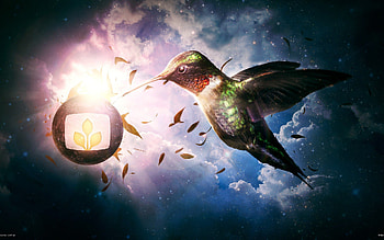Nectar Heaven, artist, heaven, digital-universe, birds HD wallpaper