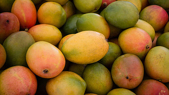 Interesting mango facts, Juicy and delicious, Mango on the radio, Fruit trivia HD wallpaper
